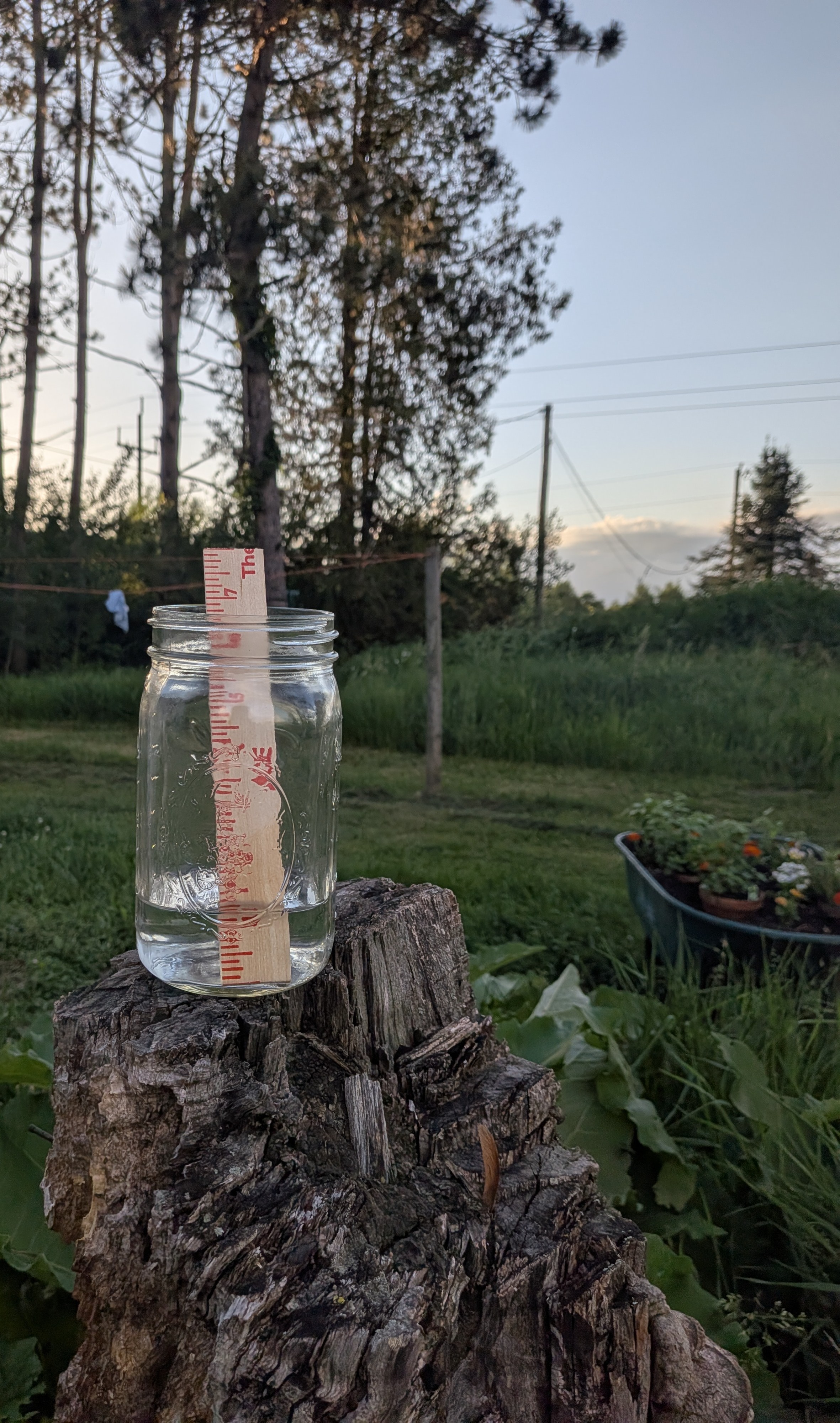 The Standard Rain Gauge