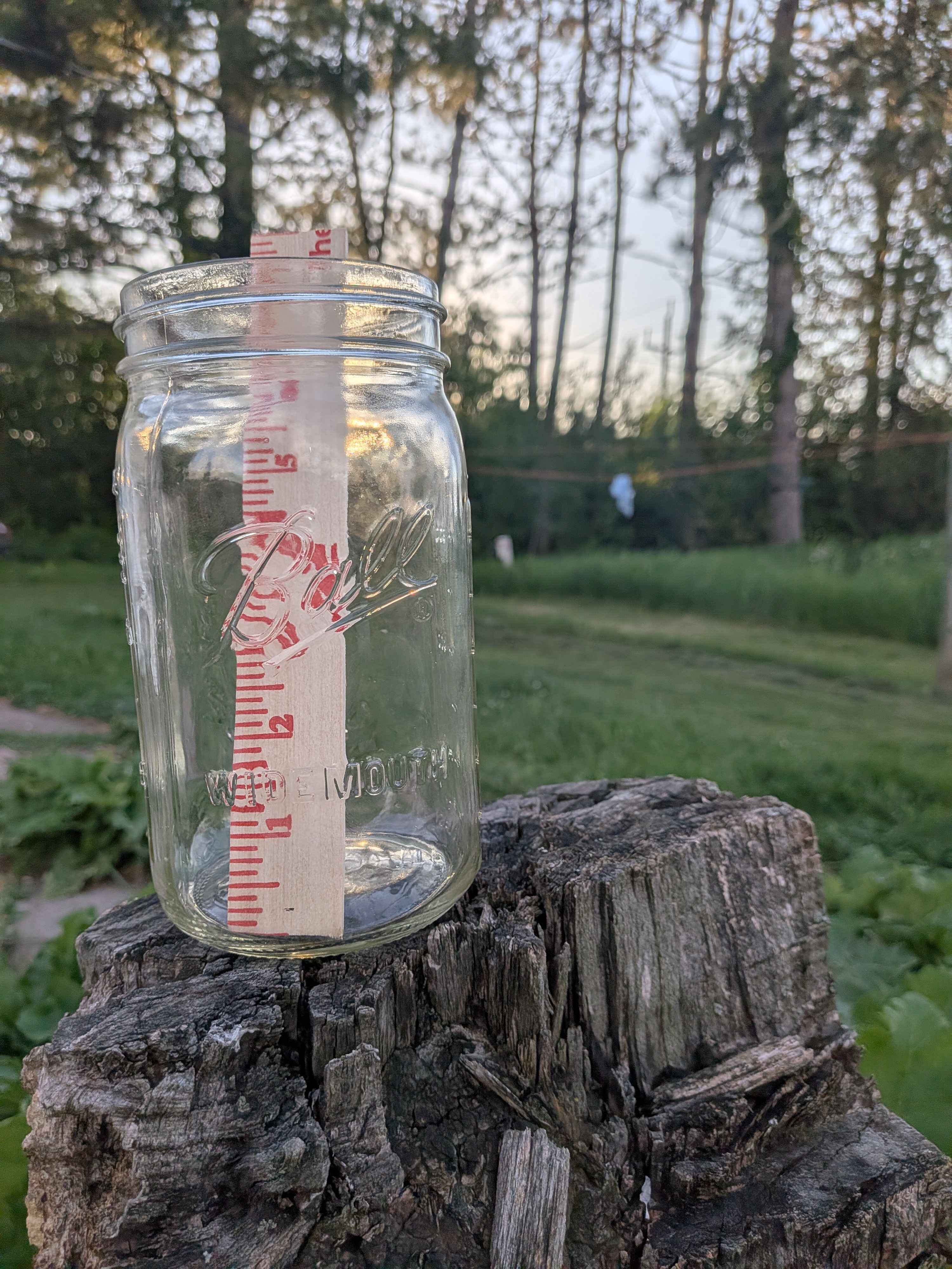 Ruler in jar